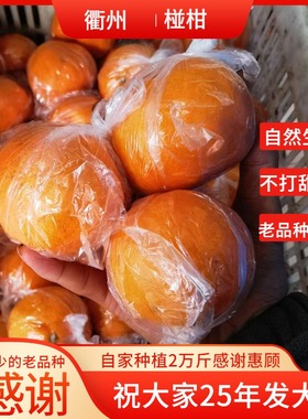 自家种植精品衢州椪柑大果橘子孕妇当季新鲜水果应季桔子柑橘