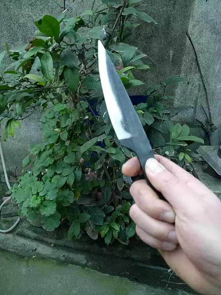 Blacksmith manual Forged Fruit knife Peeling knife Paring knife The Lancet outdoors Survival Knife special DIY makein the Kitchen/Cooking utensils , Cooking utensils , Tool , Kitchen knife  category - from Buy2taobao.com to provide professional Taobao agent buy service