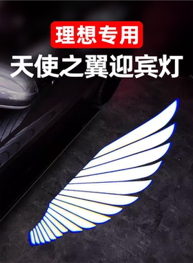 氛围L6789车门天使迎宾灯