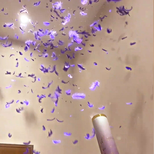 彩色乔迁拧花瓣结婚式桶手跨年手持礼花开业烟炮羽毛新年生日礼炮