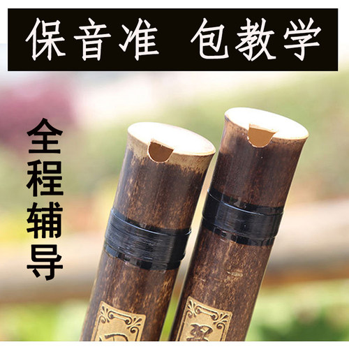 洞箫精品初学者入门自学萧成人练习老年人教学竖吹笛八孔古风乐器