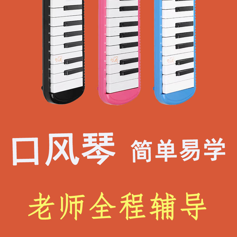 口风琴37键32键小学生用简单快速入门儿童专业演奏初学者教学南九