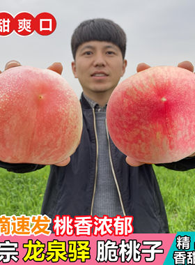 脆桃 四川成都龙泉驿脆桃子蜜桃现摘新鲜水果硬桃子