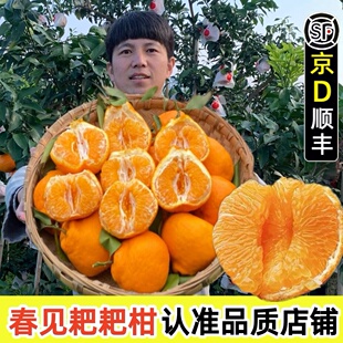 四川春见耙耙柑新鲜10斤橘子应季整箱粑粑干当季水果丑桔子