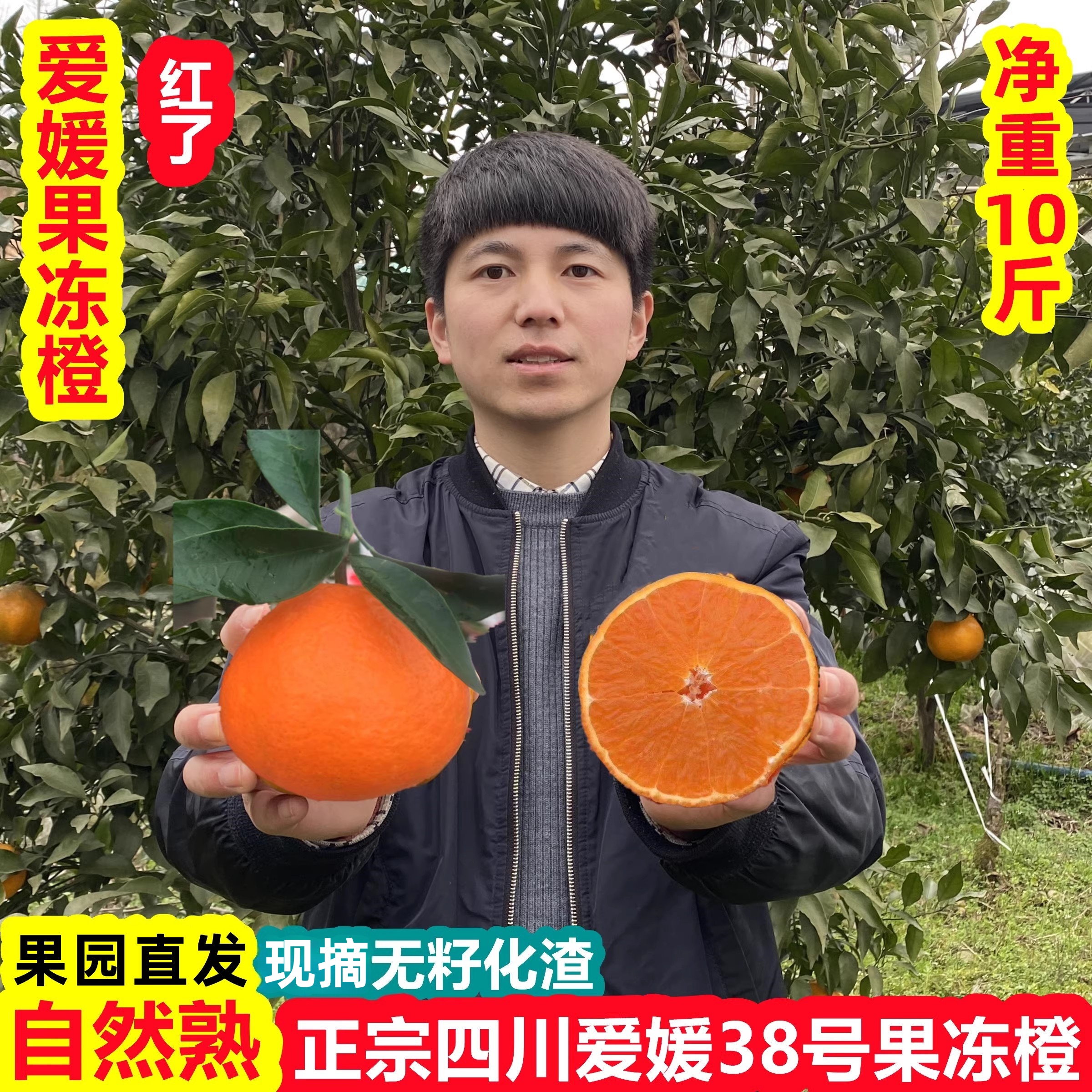 正宗爱媛果冻橙农家种植皮薄多汁