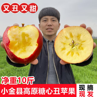 四川正宗阿坝州小金县冰糖心丑苹果脆甜新鲜水果当季整箱包邮
