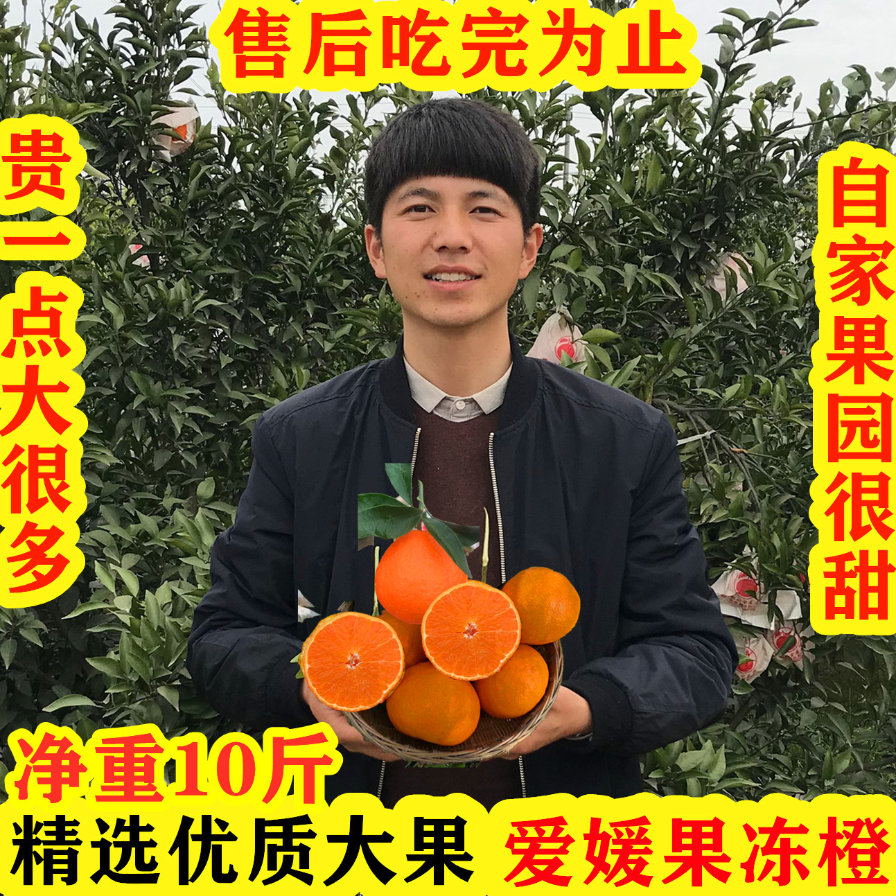 正宗爱媛38号果冻橙红美人新鲜