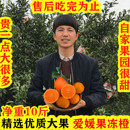 包邮 四川爱媛38号果冻橙10斤正宗新鲜孕妇水果当季 红美人甜橙