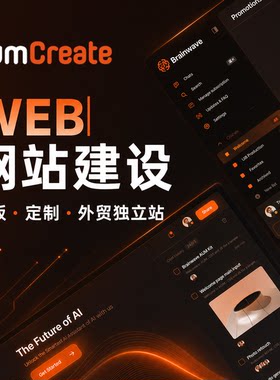 网站建设一条龙全包独立站设计制作网页制作设计开发定制企业官网