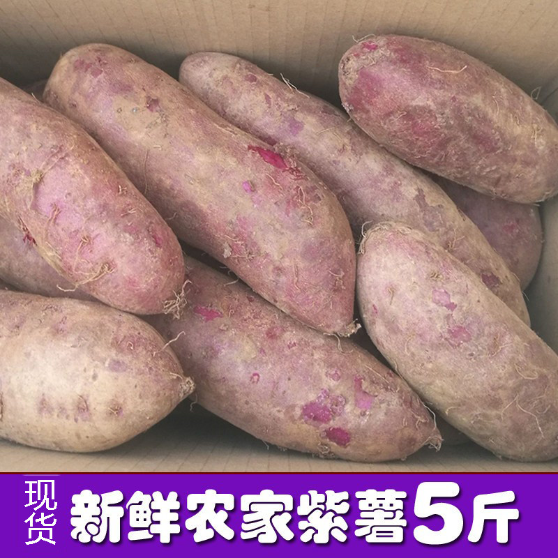 现挖红泥小紫薯新鲜蔬菜非糖心红薯沙地番薯软糯农家自种粗粮5斤