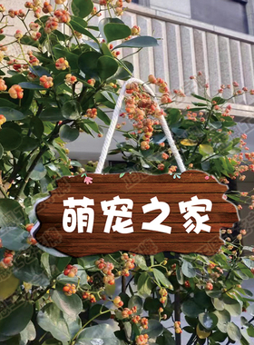 定制狗狗用品猫猫宠物狗窝挂饰挂牌创意可爱狗犬舍装饰门牌标识牌