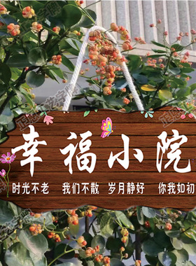 吾家小院挂牌门牌定制创意个性招牌复古风民宿客栈装饰挂件