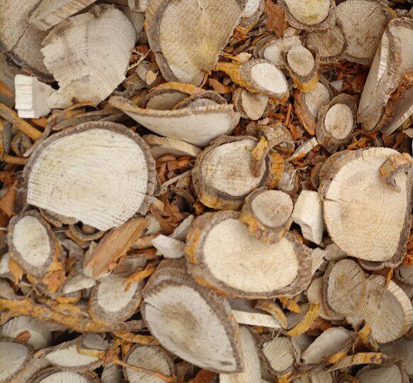 贵州野生穿破石构棘根小柘树根 九层皮 山荔枝 自然晒干无硫薰