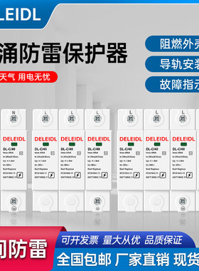 二级8/20μs40KA浪涌保护器 SPD电涌保护器防雷器避雷器家用模块