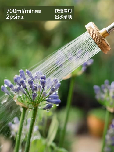 Электрическая лейка опрыскиватель новая лейка лейка цветок артефакт распылитель садоводство небольшой полив пестицидов распыление пестицидов