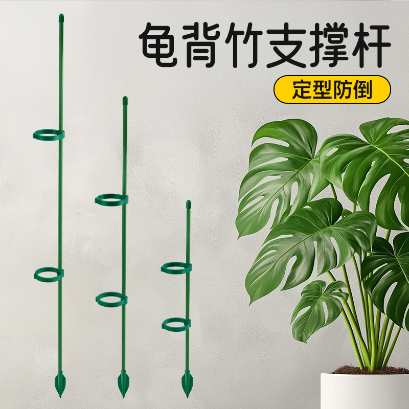 植物支撑杆花架阳台2024新款龟背竹支架固定神器月季爬藤防倒伏
