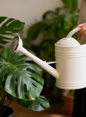 加厚大容量家用浇水壶淋花壶洒水壶浇水神器喷壶长嘴壶浇菜浇花壶