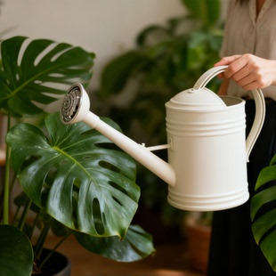加厚大容量家用浇水壶淋花壶洒水壶浇水神器喷壶长嘴壶浇菜浇花壶
