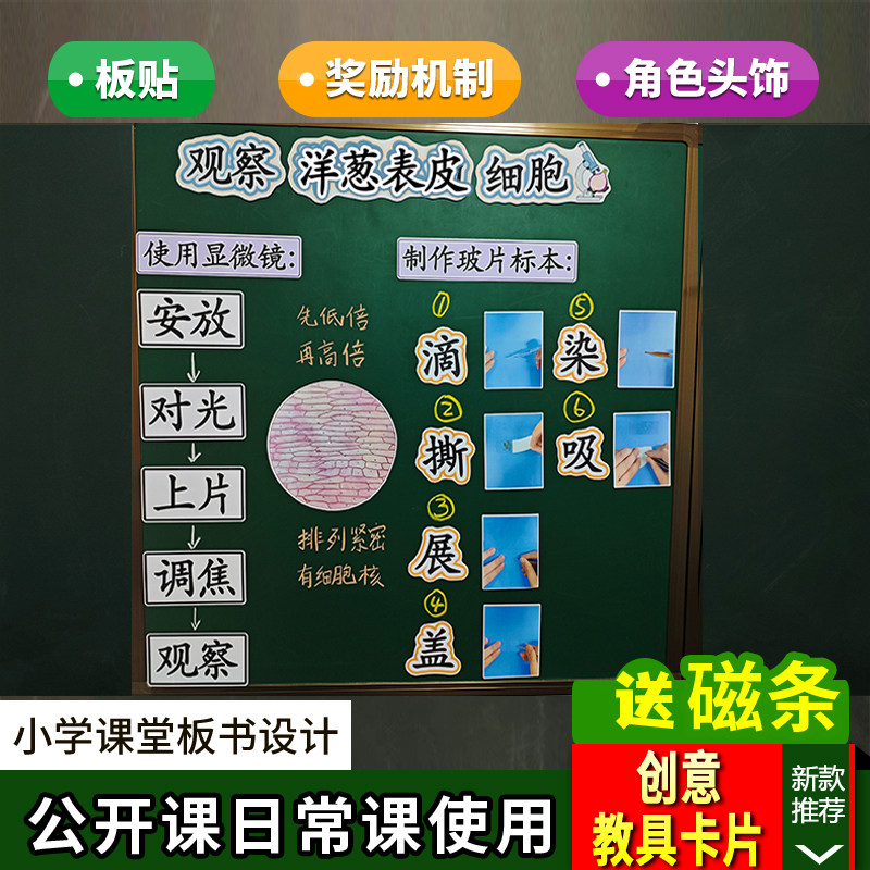 观察洋葱表皮细胞公开课板书设计教具小学科学六年级上册教师板贴