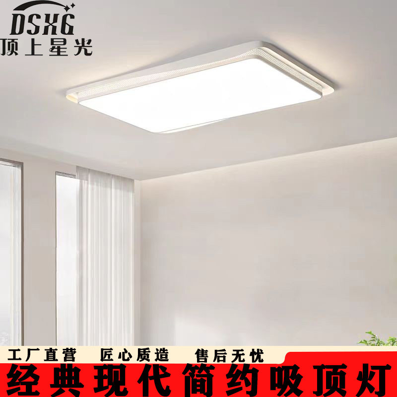 简约现代铁艺白色吸顶灯图片