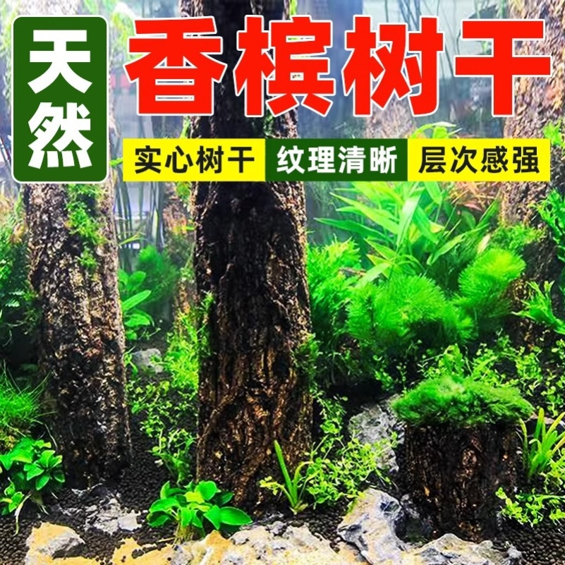 天然原木树枝干水草缸森林造景香槟木桩雨淋缸爬宠缸装饰躲避包邮