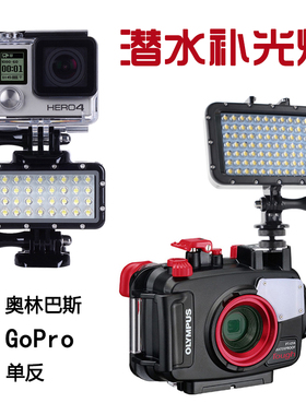 GoPro13/12/11/10/9/8/7潜水补光灯防水奥林巴斯广角OLYMPUS