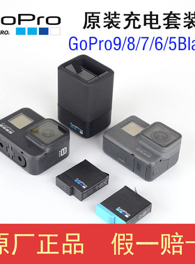 GoPro12/11/10/9/7/6/5black原装电池充电器快充原厂双冲座充配件