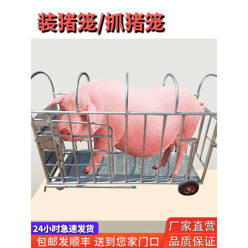 卖猪笼子猪场用群抓猪装猪称重上车装车肥猪转运车养殖设备猪笼子