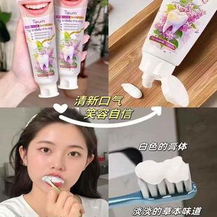 泰国TIEUM丁香牙膏清新口气去牙齿黄渍清洁口腔牙垢净白牙齿100g
