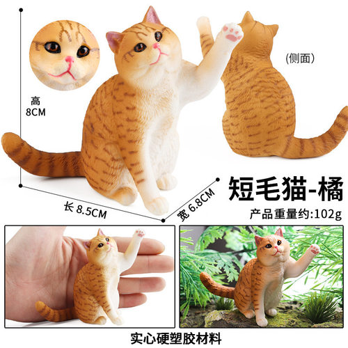 英国短毛猫仿真猫咪实心动物模型