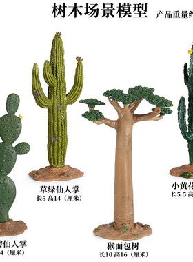仿真仙人掌猴面包树苹果树假山微景观植物沙盘场景摆件树木模型