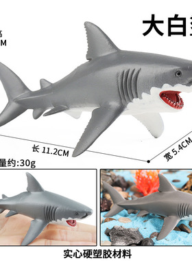 跨境仿真海洋动物模型实心大白鲨蓝鲸白鲸海狮海象巨齿鲨魔鬼鱼