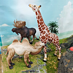 跨境儿童认知仿真野生动物模型长颈鹿驼鹿骆驼模型桌面摆件玩具