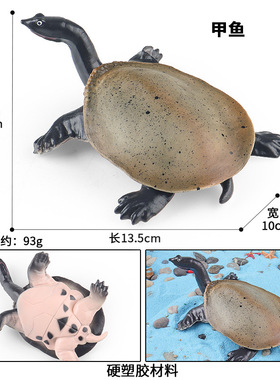 儿童玩具海洋动物仿真模型野生甲鱼老鳖巴西龟中华鳖认知早教摆件