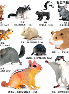 跨境儿童科教认知仿真松鼠野生动物模型树鼠负鼠金花鼠毛丝鼠摆件