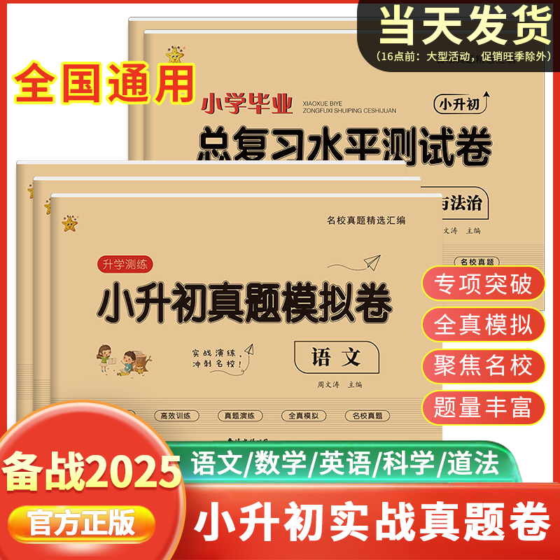 小升初总复习专项高效训练全真模拟名校真题