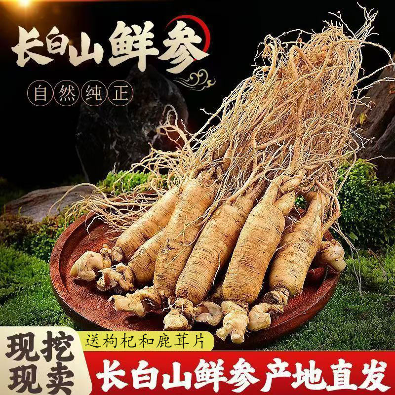 长白山新鲜人参4支500克1斤特大新鲜带土野人参整支泡酒煲汤人参