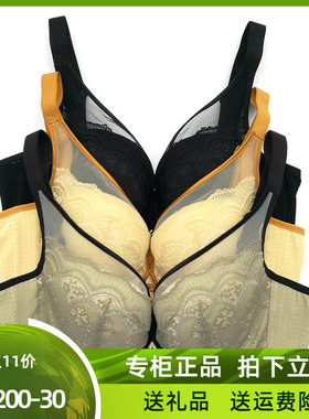 芬铂文胸FW3106A2中厚BC杯软钢圈四排扣女小胸聚拢侧收调整型内衣