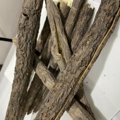 东北长白山五加皮香五加皮北五加皮 包邮