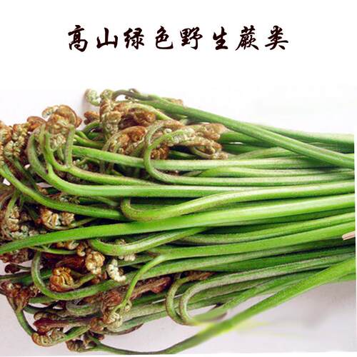 一斤装东北长白山新鲜山野菜