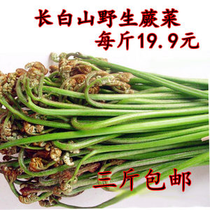 东北长白山新鲜山野菜蕨菜旱蕨菜汗蕨菜拳头菜3斤包邮