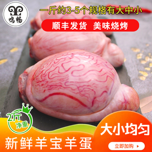 内蒙古羊宝羊蛋羊睾丸草原散养羊腰子羊凹腰鲜取冷冻烧烤食材正宗