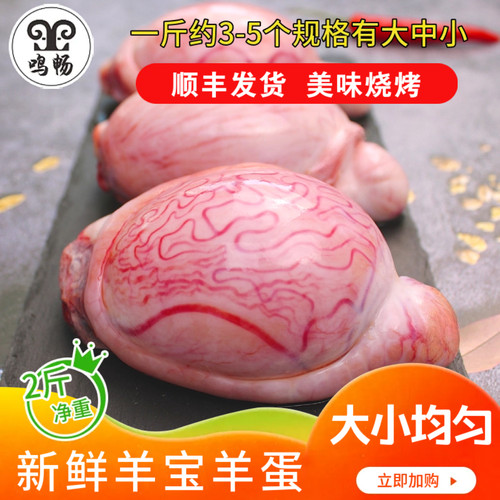 大小均匀生羊肉新鲜羊宝烧烤羊蛋