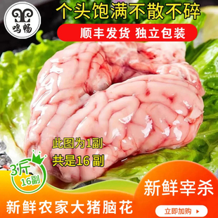 新鲜脑花速冻国产大猪脑左右脑带小脑实惠装16副火锅食材顺丰包邮