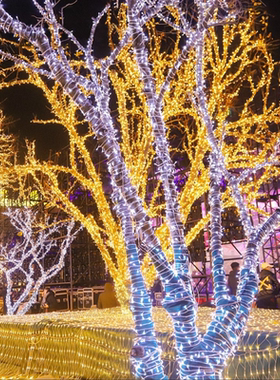 挂在树上的彩灯闪灯串灯满天星氛围灯led灯带户外缠树灯装饰挂灯