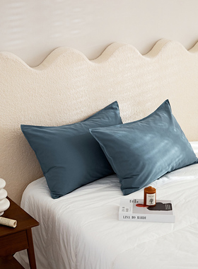 100s全棉加厚磨毛枕套一对拍2单支枕头罩大号柔软纯棉整头套