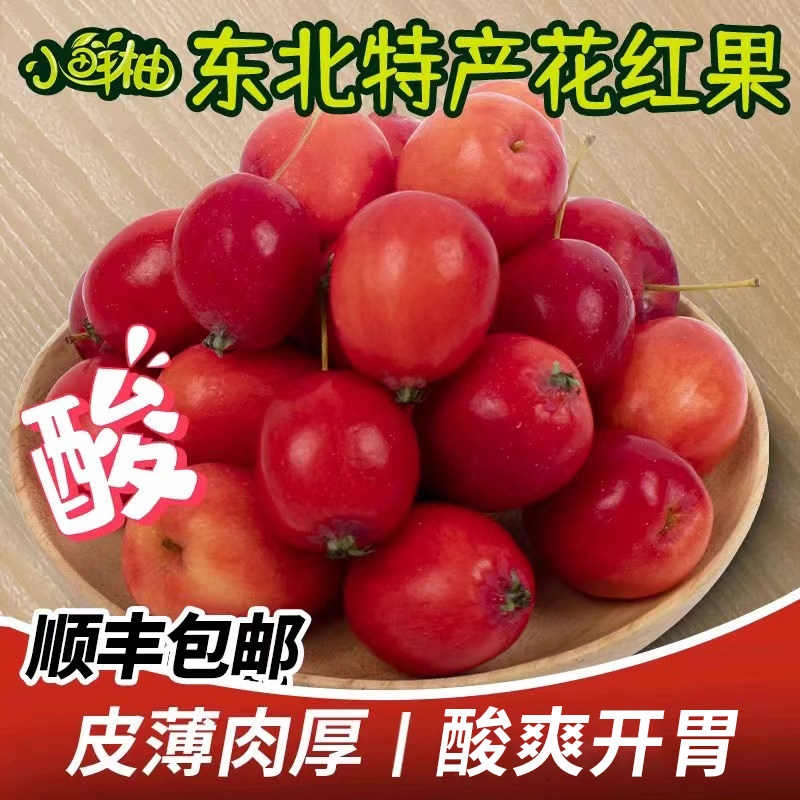 东北花红铃铛果顺丰包邮小酸沙果灯笼海棠新鲜孕妇装饰迷你红苹果