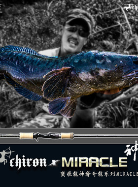 神夺Centaur 奇龙系列 轻雷Miracle竿超硬路亚雷强竿枪柄水滴轮纺