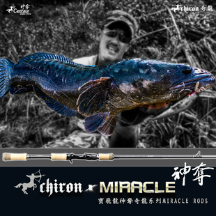 神夺Centaur 轻雷Miracle竿超硬路亚雷强竿枪柄水滴轮纺 奇龙系列