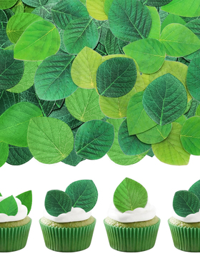 糯米纸威化纸树叶蛋糕摆件酒店菜品刺身冷盘甜品点心绿叶摆盘装饰